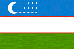 Виза в Узбекистан для гражданина РК и иностранных граждан
